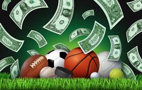 How to Bet on Cricket Online and Win Big 8