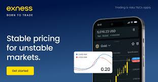 Comprehensive Exness Information for Traders and Investors